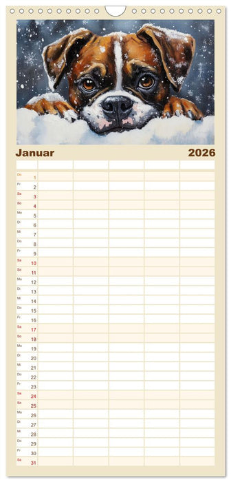 Bunte Boxer (CALVENDO Familienplaner 2026)