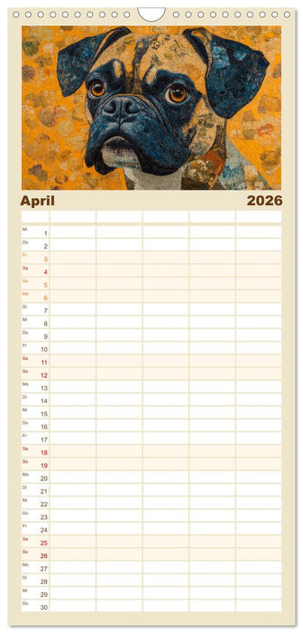 Bunte Boxer (CALVENDO Familienplaner 2026)