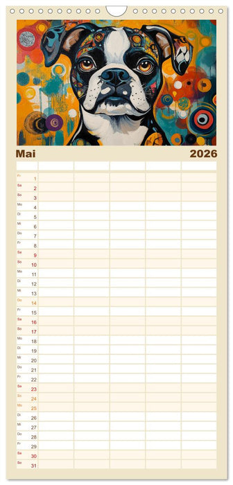 Bunte Boxer (CALVENDO Familienplaner 2026)