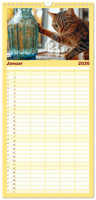 Momente eines Katzenbesitzers - Chaos der Samtpfoten (CALVENDO Familienplaner 2026)