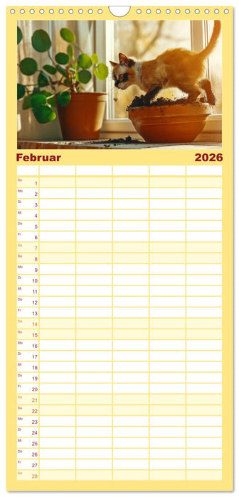Momente eines Katzenbesitzers - Chaos der Samtpfoten (CALVENDO Familienplaner 2026)