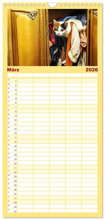 Momente eines Katzenbesitzers - Chaos der Samtpfoten (CALVENDO Familienplaner 2026)