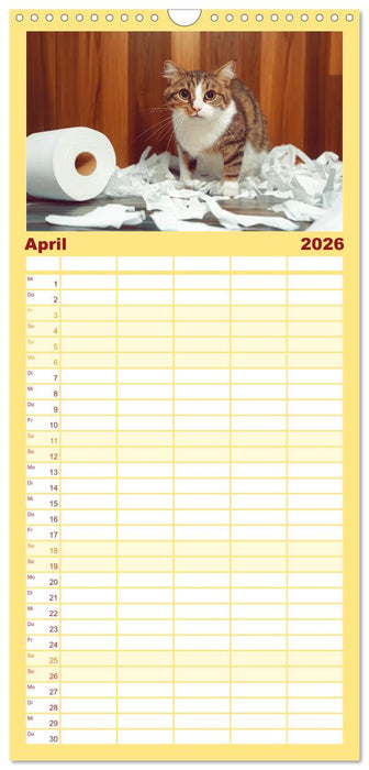 Momente eines Katzenbesitzers - Chaos der Samtpfoten (CALVENDO Familienplaner 2026)