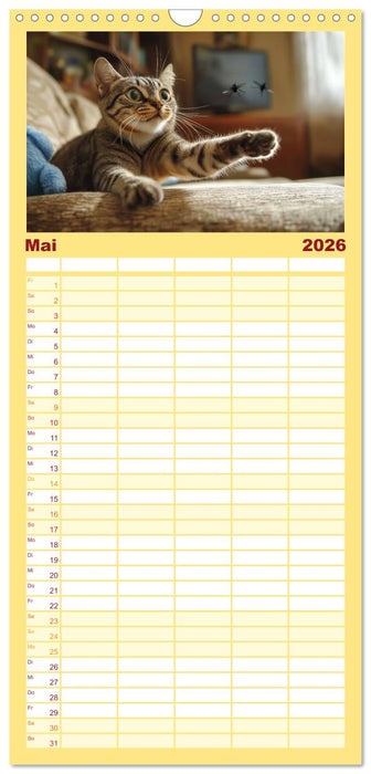 Momente eines Katzenbesitzers - Chaos der Samtpfoten (CALVENDO Familienplaner 2026)
