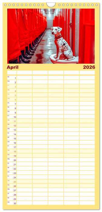 Sitz, Platz, Spül - Hunde auf dem Thron (CALVENDO Familienplaner 2026)