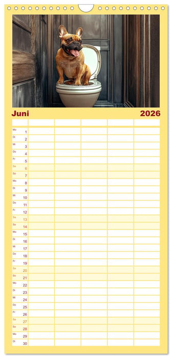 Sitz, Platz, Spül - Hunde auf dem Thron (CALVENDO Familienplaner 2026)