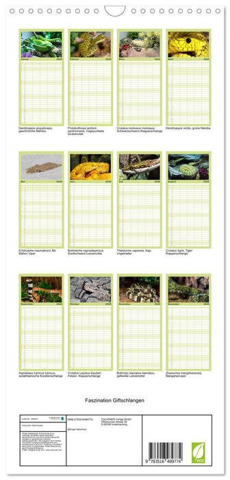 Faszination Giftschlangen (CALVENDO Familienplaner 2026)