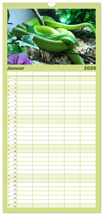 Faszination Giftschlangen (CALVENDO Familienplaner 2026)