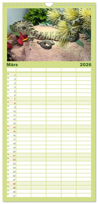 Faszination Giftschlangen (CALVENDO Familienplaner 2026)