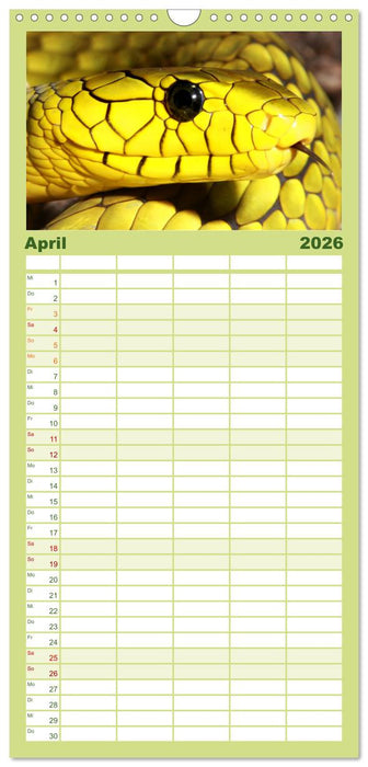 Faszination Giftschlangen (CALVENDO Familienplaner 2026)