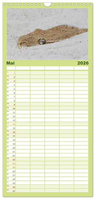 Faszination Giftschlangen (CALVENDO Familienplaner 2026)