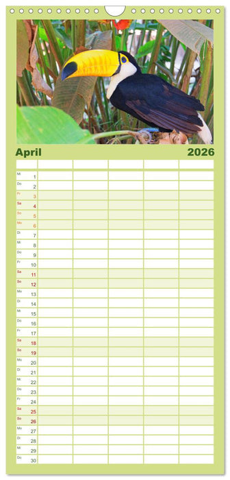 Entdecke Bolivien (CALVENDO Familienplaner 2026)