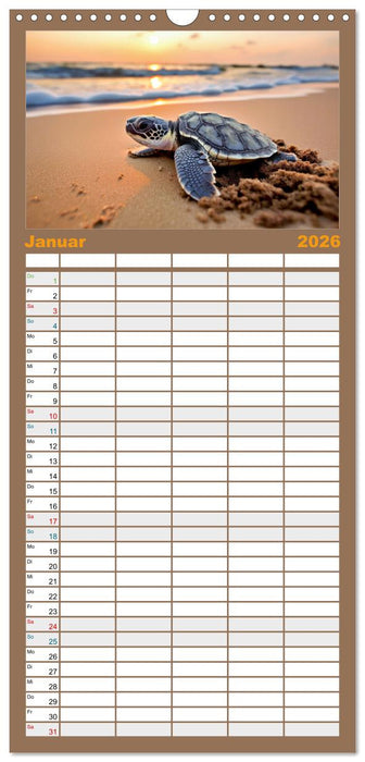 Tierkinder der Meere - entdecke ihre Welt (CALVENDO Familienplaner 2026)
