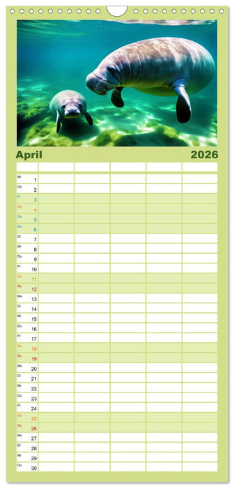 Tierkinder der Meere - entdecke ihre Welt (CALVENDO Familienplaner 2026)