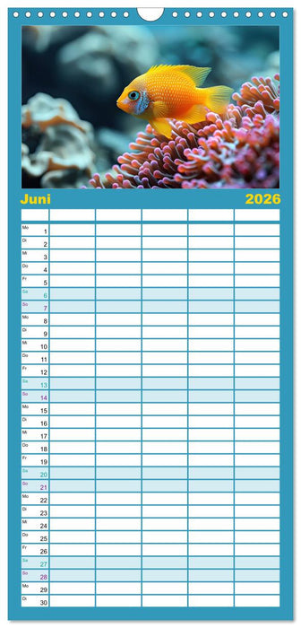 Tierkinder der Meere - entdecke ihre Welt (CALVENDO Familienplaner 2026)