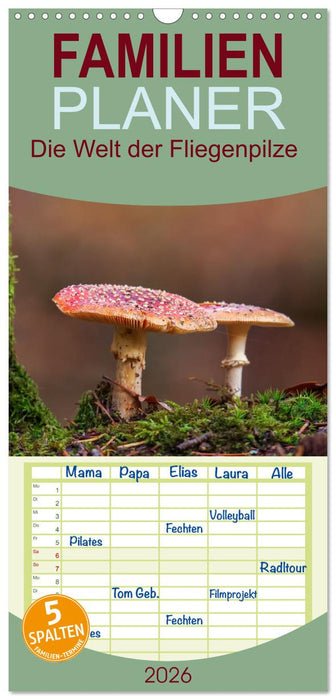 Die Welt der Fliegenpilze (CALVENDO Familienplaner 2026)