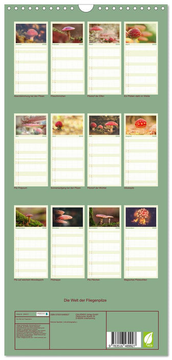 Die Welt der Fliegenpilze (CALVENDO Familienplaner 2026)