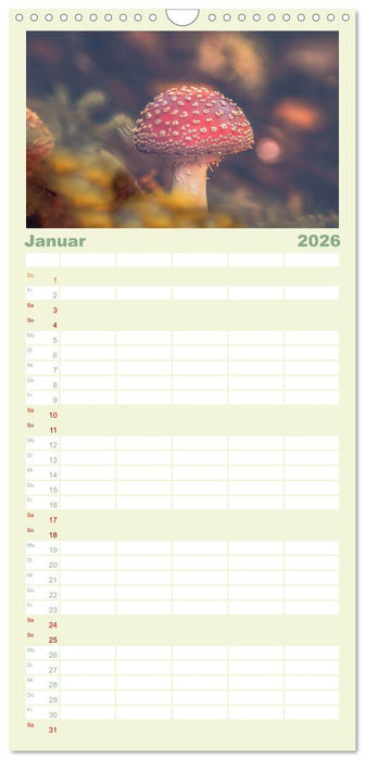 Die Welt der Fliegenpilze (CALVENDO Familienplaner 2026)