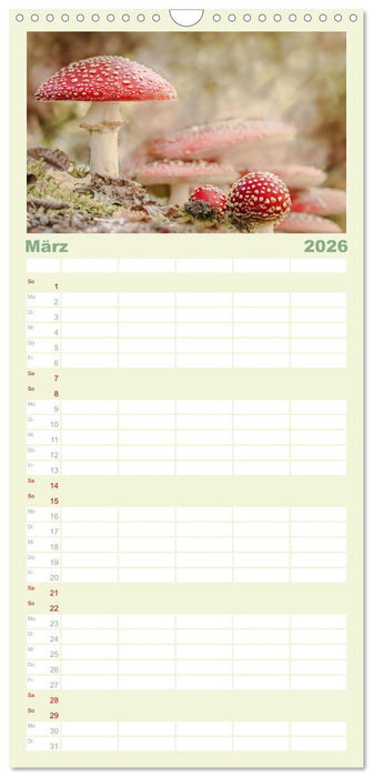 Die Welt der Fliegenpilze (CALVENDO Familienplaner 2026)