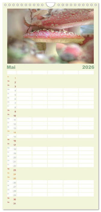 Die Welt der Fliegenpilze (CALVENDO Familienplaner 2026)