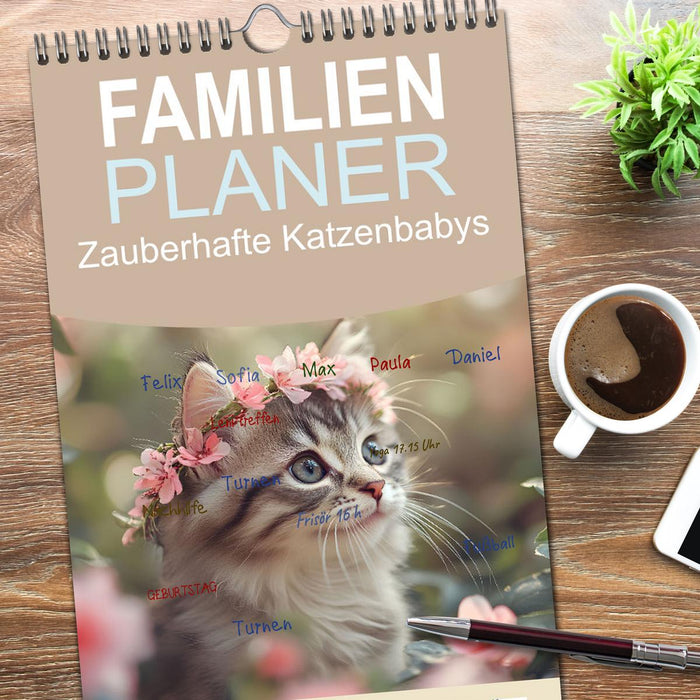 Zauberhafte Katzenbabys (CALVENDO Familienplaner 2026)