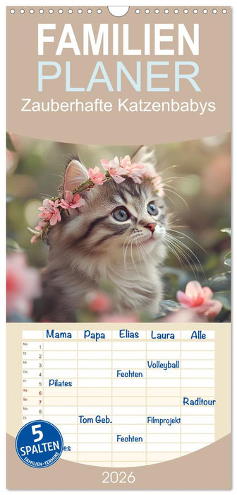 Zauberhafte Katzenbabys (CALVENDO Familienplaner 2026)