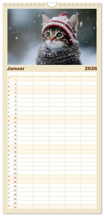 Zauberhafte Katzenbabys (CALVENDO Familienplaner 2026)