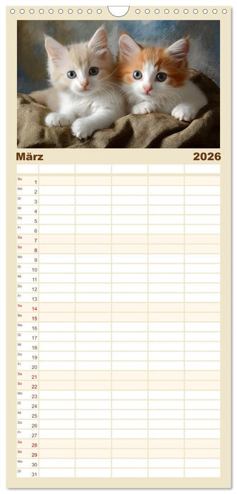 Zauberhafte Katzenbabys (CALVENDO Familienplaner 2026)