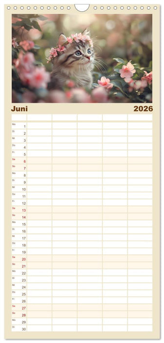 Zauberhafte Katzenbabys (CALVENDO Familienplaner 2026)