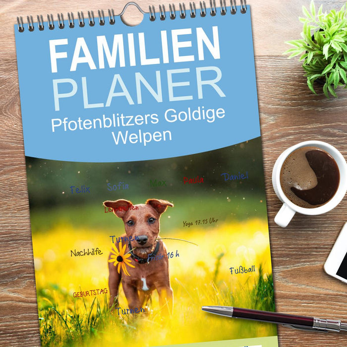 Pfotenblitzers Goldige Welpen (CALVENDO Familienplaner 2026)