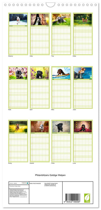 Goldige Welpen (CALVENDO Familienplaner 2026)