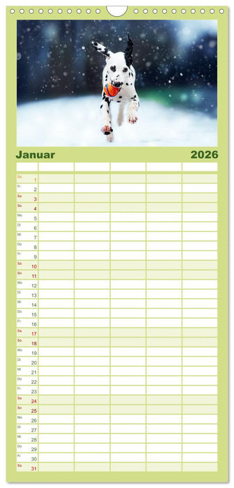 Goldige Welpen (CALVENDO Familienplaner 2026)