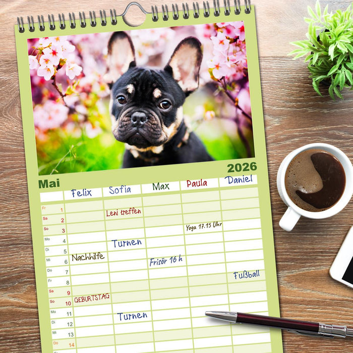 Goldige Welpen (CALVENDO Familienplaner 2026)