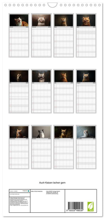Auch Katzen lachen gern (CALVENDO Familienplaner 2026)