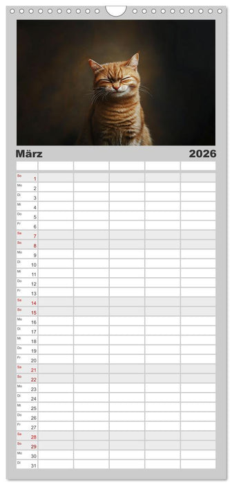 Auch Katzen lachen gern (CALVENDO Familienplaner 2026)