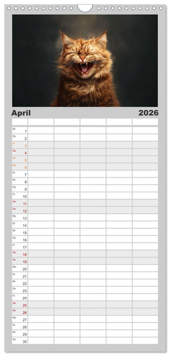Auch Katzen lachen gern (CALVENDO Familienplaner 2026)