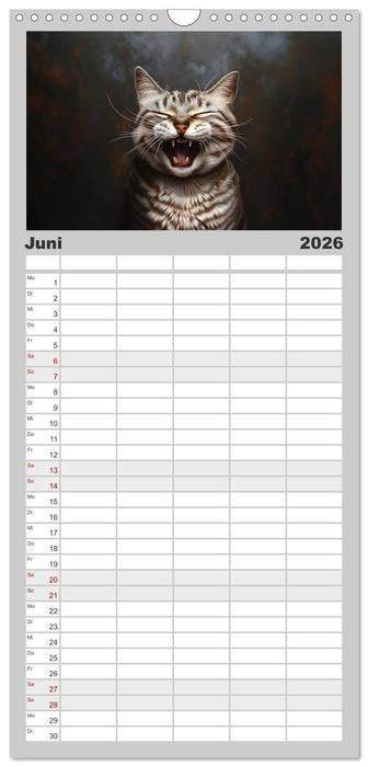 Auch Katzen lachen gern (CALVENDO Familienplaner 2026)