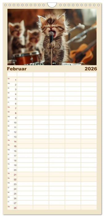 Miau-sikalische Momente (CALVENDO Familienplaner 2026)