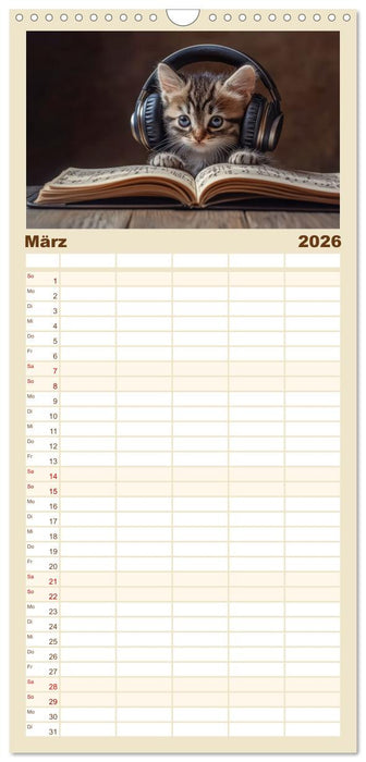 Miau-sikalische Momente (CALVENDO Familienplaner 2026)