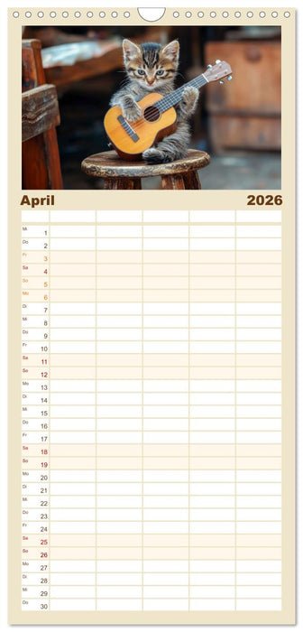 Miau-sikalische Momente (CALVENDO Familienplaner 2026)