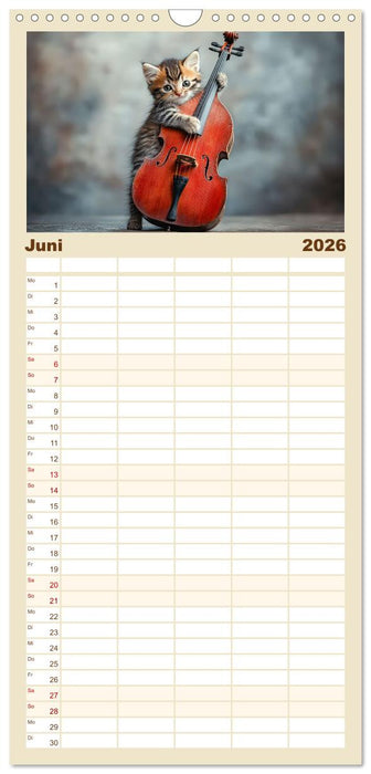 Miau-sikalische Momente (CALVENDO Familienplaner 2026)