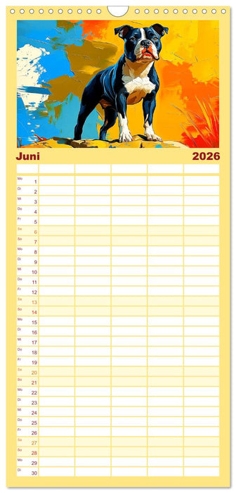 Pit Bulls und Familie. Bunte Bull Breed Schönheiten (CALVENDO Familienplaner 2026)