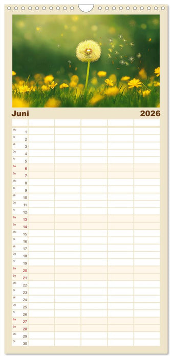 Minimalistische Naturmomente – Ruhe und Schönheit in der Natur (CALVENDO Familienplaner 2026)
