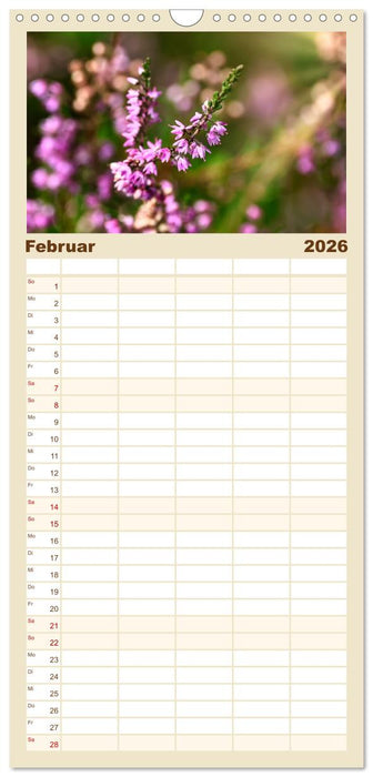 Lüneburger Südheide (CALVENDO Familienplaner 2026)