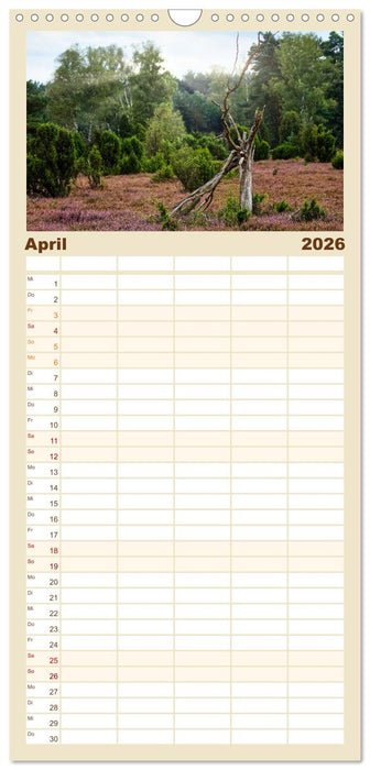 Lüneburger Südheide (CALVENDO Familienplaner 2026)