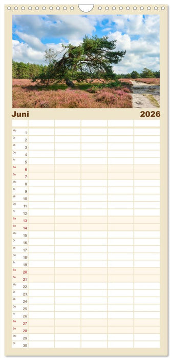 Lüneburger Südheide (CALVENDO Familienplaner 2026)