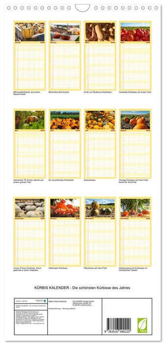 KÜRBIS KALENDER - Die schönsten Kürbisse des Jahres (CALVENDO Familienplaner 2026)