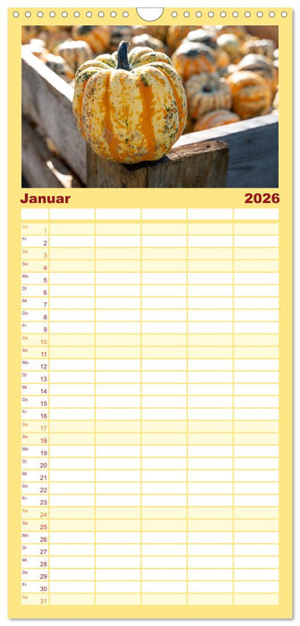 KÜRBIS KALENDER - Die schönsten Kürbisse des Jahres (CALVENDO Familienplaner 2026)