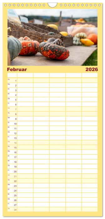 KÜRBIS KALENDER - Die schönsten Kürbisse des Jahres (CALVENDO Familienplaner 2026)