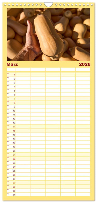 KÜRBIS KALENDER - Die schönsten Kürbisse des Jahres (CALVENDO Familienplaner 2026)